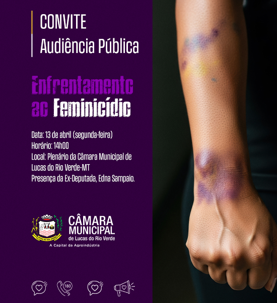 Imagem Audi~encia Feminicídio 